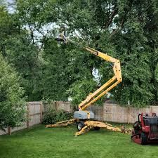 Artificial Turf Installation in Rouse, CA